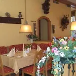 Alpinia 4*