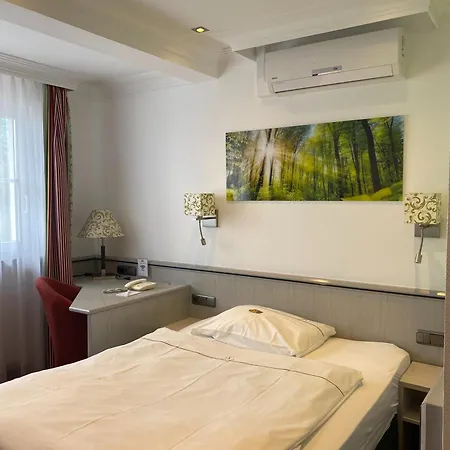 Alpinia 4*