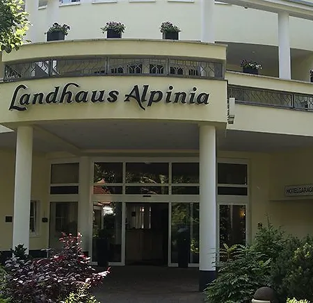 Alpinia