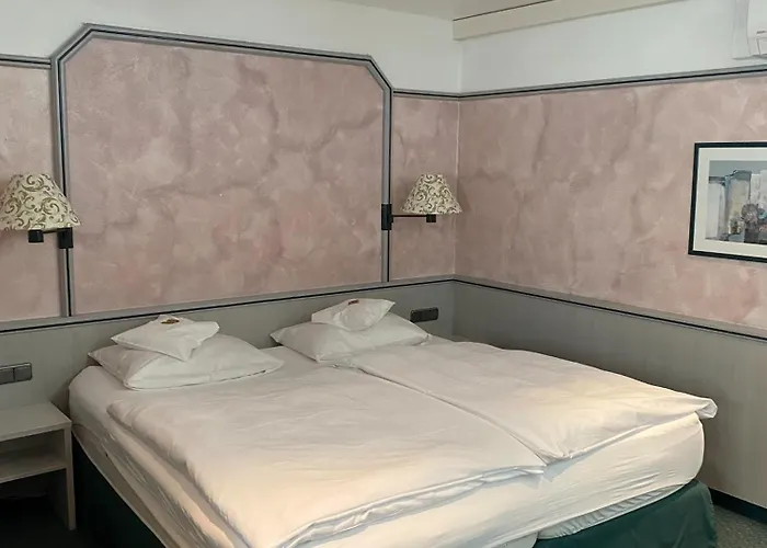 阿普尼纳兰德汉斯酒店 酒店