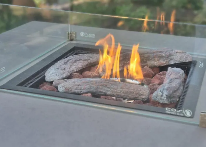 酒店 阿普尼纳兰德汉斯酒店 柏林