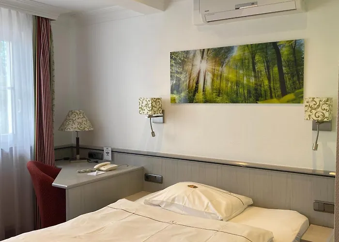 阿普尼纳兰德汉斯酒店 4*