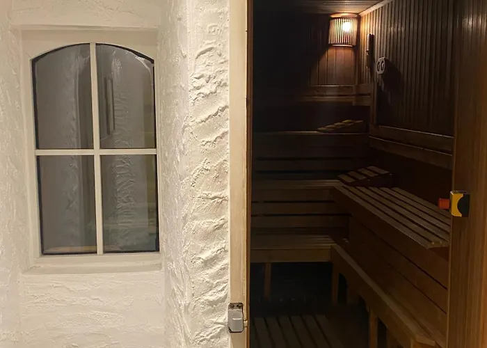 阿普尼纳兰德汉斯酒店 4* 柏林