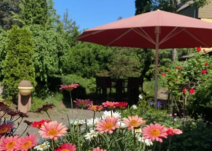 阿普尼纳兰德汉斯酒店 4*