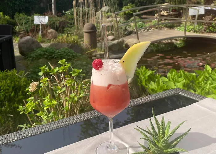 阿普尼纳兰德汉斯酒店 4*